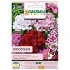 Garden Center Garden_Cente Šiurpinių gvazdikų PINOCCHIO sėklos