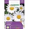 Aliaskinės pušies Garden Center sėklos, 0,2 g