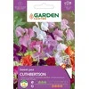 Garden Center Plačiagalvės Cuthbertsono sėklos, 2 g