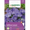 Sėklos Garden Center laikrodžiai, 0,1 g