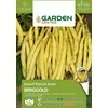 Sėklos Garden Center, pupelės, mažos, BERGGOLD, 20 g
