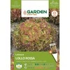 Sėklos Garden Center, salotos LOLLO ROSSA, 1 g