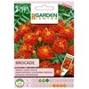 Sėklos Garden Center Aksominis brokatas, 0,4 g