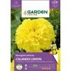 Sėklos Garden Center Velvet CALANDO LEMON, 0,5 g