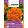 Medetkų sėklos Garden Center, Kupidono apelsinas, 0,5 g