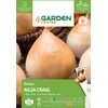 Sėklos Garden Center, svogūnai AILSA CRAIG, 1 g