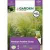 Sėklos Garden Center plunksninė žolė, 0,1 g
