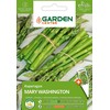 Sēklos Garden Center, šparagai MARY WASHINGTON, 1 vnt