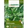 Špinatų GEANT D'HIVER sėklos Garden Center, 2 g
