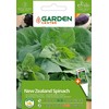 Sėklos Garden Center, Naujosios Zelandijos špinatai, 3 g