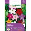 Sėklos Garden Center tabako Sensation, 0,1 g