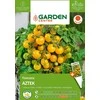 Sėklos Garden Center, pomidorai AZTEK, 0,2 g