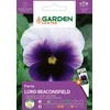 Lord Beaconsfield žibuoklių sėklos Garden Center, 0,1 g