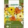 Sėklos Garden Center žiedų mišinys Vasara, 2 g