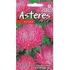 Kurzemes Seklas Kuržemės sėklos astrų Lady Coral Brilliant, 0,2 g