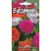 Kurzemes Seklas Sprigių sėklos 5 sėklos Athena Formula