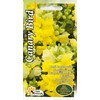 Sėklos Kurzemes sēklas snapučių Canary Bird, 0.2 g