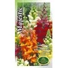 Kurzemes Seklas Sėklos Kurzeme snapdragon sėklos Majestic Seeds, 4 g