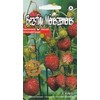 Sėklos Kurzemes sēklas, miško žemuogės Erna, 0.1 g