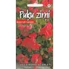 Kurzemes Seklas Sėklos Kuržemės sėklos gėlių sėklų rinkinys Villa Roma Scarlet, 4 g
