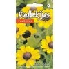 Kurzemes Seklas Rudbekijų sėklos 10 sėklų Toto Gold