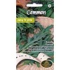 Sēklas Kurzemes sēklas, rukola Common, 4 g, 4 m