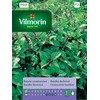 Sėklos „Vilmorin“ cinamono bazilikas, 0,5 g