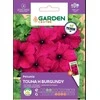 Sėklos Garden Center petunia TOUHA H BURGUNDY, 7 g