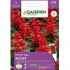 Sėklos Garden Center šalavijų ROCKET, 0,4 g