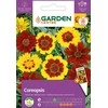 Sėklų Garden Center mišinys, 0,5 g