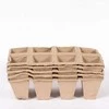 Sēklu trauks Garden Center 725004-8S, 20 cm x 14 cm x 9 cm, 5 gab.