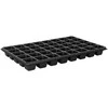 Sēklu trauks Garden Center D40A, 53.8 cm x 34.3 cm x 4.8 cm