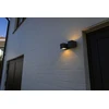 Sieninis šviestuvas Lutec Wall outdoor luminaire Fari LED 10W 3K 1200LM IP54 dark pilkas