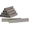 Sąvaržėlės Proline T28 Pusapvalės 12mm 1000 vnt.