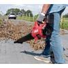 Skil Red Akumuliatorinis lapų pūstuvas Skil GB1E0331AA