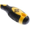 Forte_Tools Plokščiasis atsuktuvas Forte Tools SL4 x 100 mm