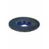 Šlifavimo diskas Bosch, 125 mm x 22.23 mm
