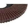 Forte_Tools Žiedlapinis šlifavimo diskas Forte tools, 125x22.23 mm