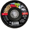 Šlifavimo diskas Industry 4628, 125 mm x 22.2 mm