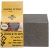 GRINDING SPONGE FORTE TOOLS 125X90X26 M