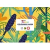 Spalvotas dvipusis popierius DISCO Picasso A4, 8 lapai, 120 g, su edukacine informacija
