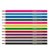 Centrum COLOUR PENCILS PLASTIC 12COL CAPYBARA