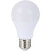 Okko GTV LED lemputė A60 10W E27 800lm 830 3 vnt./pak.