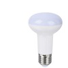 Okko Canyon BULB LED R63 10W E27 830 120 950LM 15KH