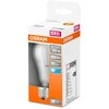 Candellux LED lemputė OSRAM, A60, E27, 8,5 W, 806 lm, 4000 K
