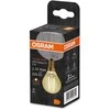 Candellux LED lemputė Vintage 1906© LED 22 2.5 W/2400K E14
