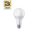 LED lemputė STANDART, A80, E27, 23 W, 2500 lm, 3000 K