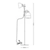 Lampa podłogowa Domoletti FLOOR LAMP 18X150CM 2XG9 Juodas COLOR
