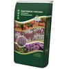 Viržių, rododendrų ir azalijų durpių substratas DURPETA, 20 l