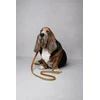 Flamingo DOG LEASH VIRGINIA Žalias 1.3M 20MM